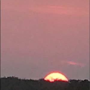 Meet your Posher, Mia